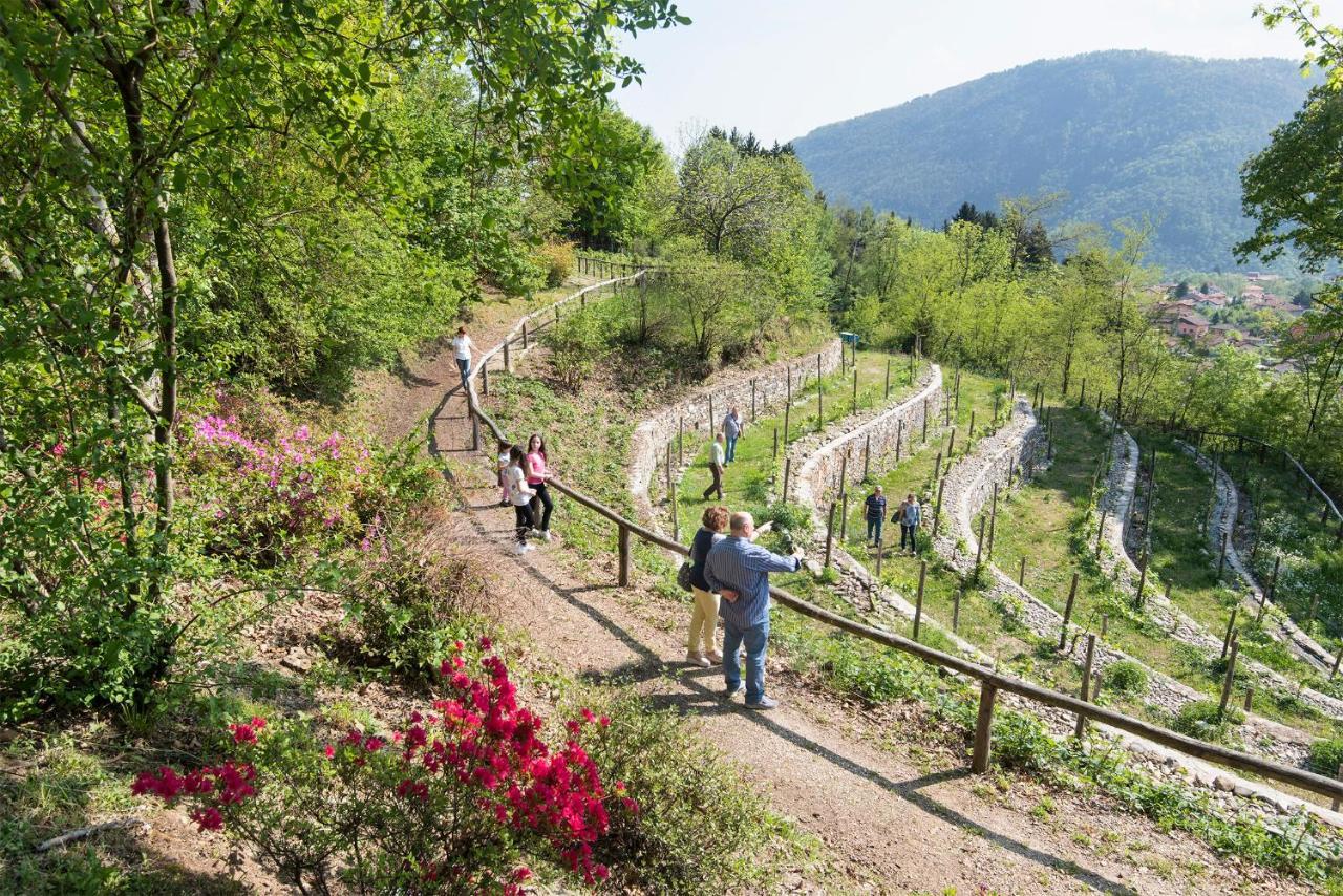 Agriturismo Al Motto Cambiasca المظهر الخارجي الصورة